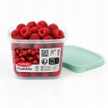 Pojemnik na żywność owoce warzywa szczelny do mikrofali zamrażalki 0,45l