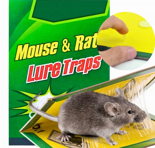 Pułapka LEP na myszy szczury mocna klejąca książka z klejem 1 SZT