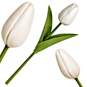 Sztuczny TULIPAN kwiat pojedynczy silikonowy JAK ŻYWY dekoracyjny 33 cm