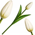 Sztuczny TULIPAN kwiat pojedynczy silikonowy JAK ŻYWY dekoracyjny 31 cm