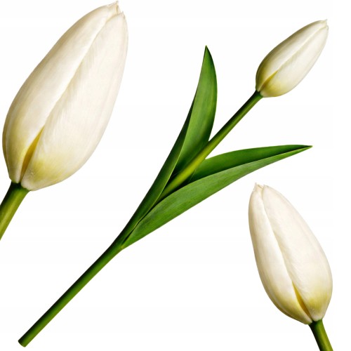 Sztuczny TULIPAN kwiat pojedynczy silikonowy JAK ŻYWY dekoracyjny 31 cm