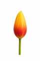 Sztuczny TULIPAN kwiat pojedynczy silikonowy JAK ŻYWY dekoracyjny 31 cm