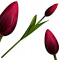 Sztuczny TULIPAN kwiat pojedynczy silikonowy JAK ŻYWY dekoracyjny 31 cm
