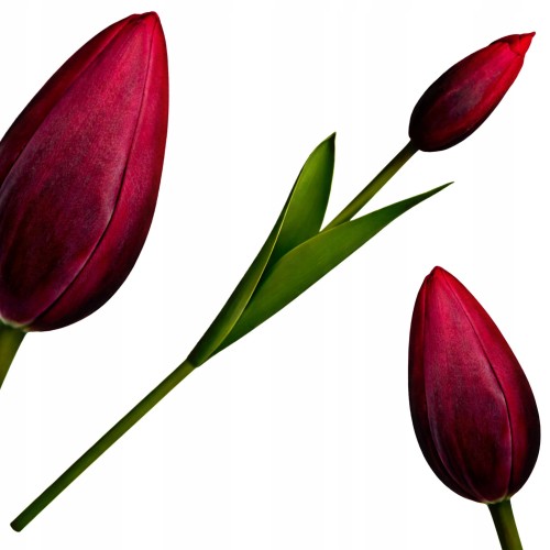 Sztuczny TULIPAN kwiat pojedynczy silikonowy JAK ŻYWY dekoracyjny 31 cm