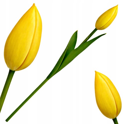 Sztuczny TULIPAN kwiat pojedynczy silikonowy JAK ŻYWY dekoracyjny 31 cm