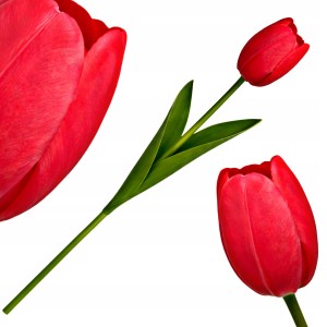 Sztuczny TULIPAN kwiat pojedynczy silikonowy JAK ŻYWY dekoracyjny 42 cm