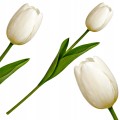 Sztuczny TULIPAN kwiat pojedynczy silikonowy JAK ŻYWY dekoracyjny 42 cm