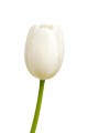 Sztuczny TULIPAN kwiat pojedynczy silikonowy JAK ŻYWY dekoracyjny 42 cm