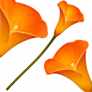 Sztuczna KALIA kwiat kalii pojedynczy silikonowy JAK ŻYWY dekoracyjny 34 cm