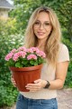 Doniczka ogrodowa donica plastikowa palkon taras brąz ogród okrągła duża