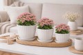 Zestaw 3 Doniczek Ceramicznych z Podstawką Białe Nowoczesne