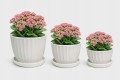 Zestaw 3 Doniczek Ceramicznych z Podstawką Białe Nowoczesne