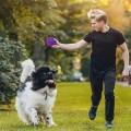 Piłka dla psa kota kolczasta zabawka sensoryczna świecąca mix kolor