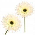Sztuczna Gerbera Dekoracyjna Do Wazonu Kwiat 44 cm MRYS018