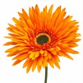 Sztuczna Gerbera Dekoracyjna Do Wazonu Kwiat 44 cm MRYS018