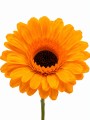 Sztuczny Kwiat Gerbera Dekoracyjna Gałązka Do Wazonu 63cm