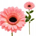 Sztuczny Kwiat Gerbera Dekoracyjna Gałązka Do Wazonu 63cm