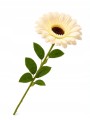 Sztuczny Kwiat Gerbera Dekoracyjna Gałązka Do Wazonu 63cm