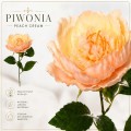 Sztuczny Kwiat Piwonia Gałązka Dekoracyjna Do Wazonu 62 cm MRYS 0133
