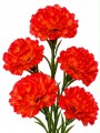 Sztuczny Goździk Gałązka Dekoracyjna Kwiaty Do Wazonu 84 cm MRYS114