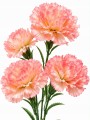 Sztuczny Goździk Gałązka Dekoracyjna Kwiaty Do Wazonu 84 cm MRYS114