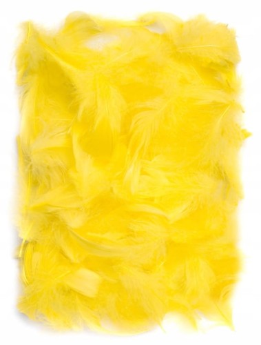 Piórka 10g- żółte